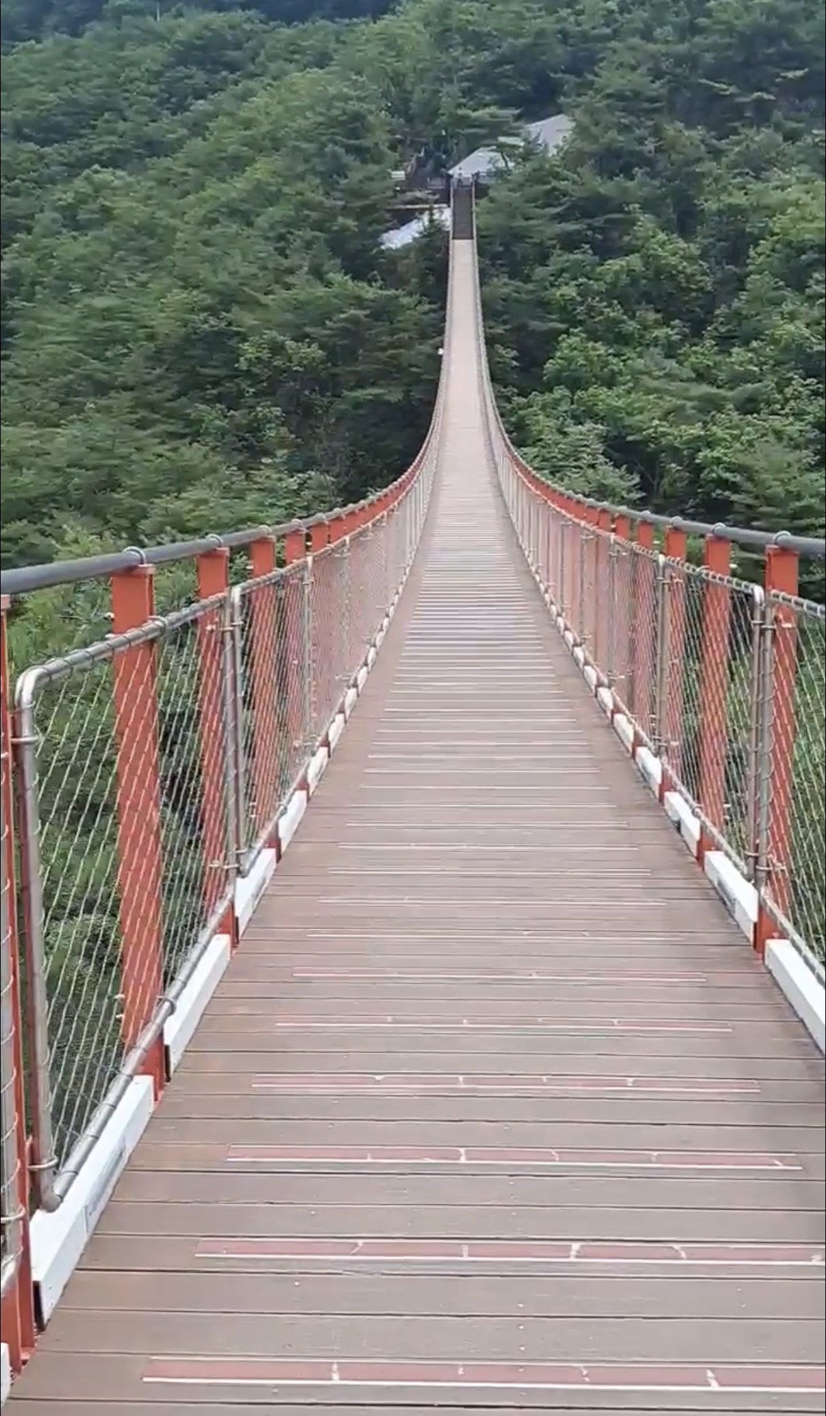파주 감악산출렁다리 보고오기