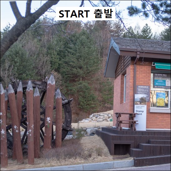 PT-82 메밀 꽃 필무렵 사진 1