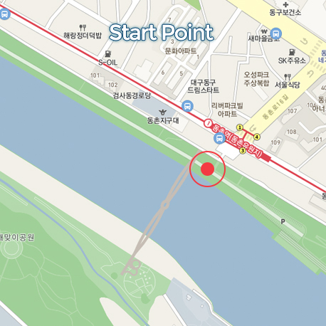PT-63 대구 새싹 사진 2