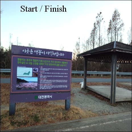 PT-187 대전 맹꽁이 사진 1