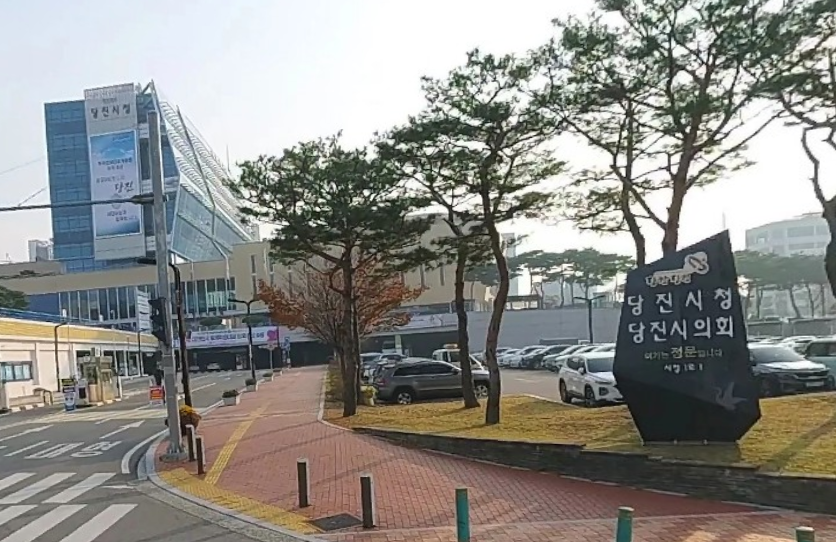 PT-203 꽃한송이, 흙한줌이 사진 1