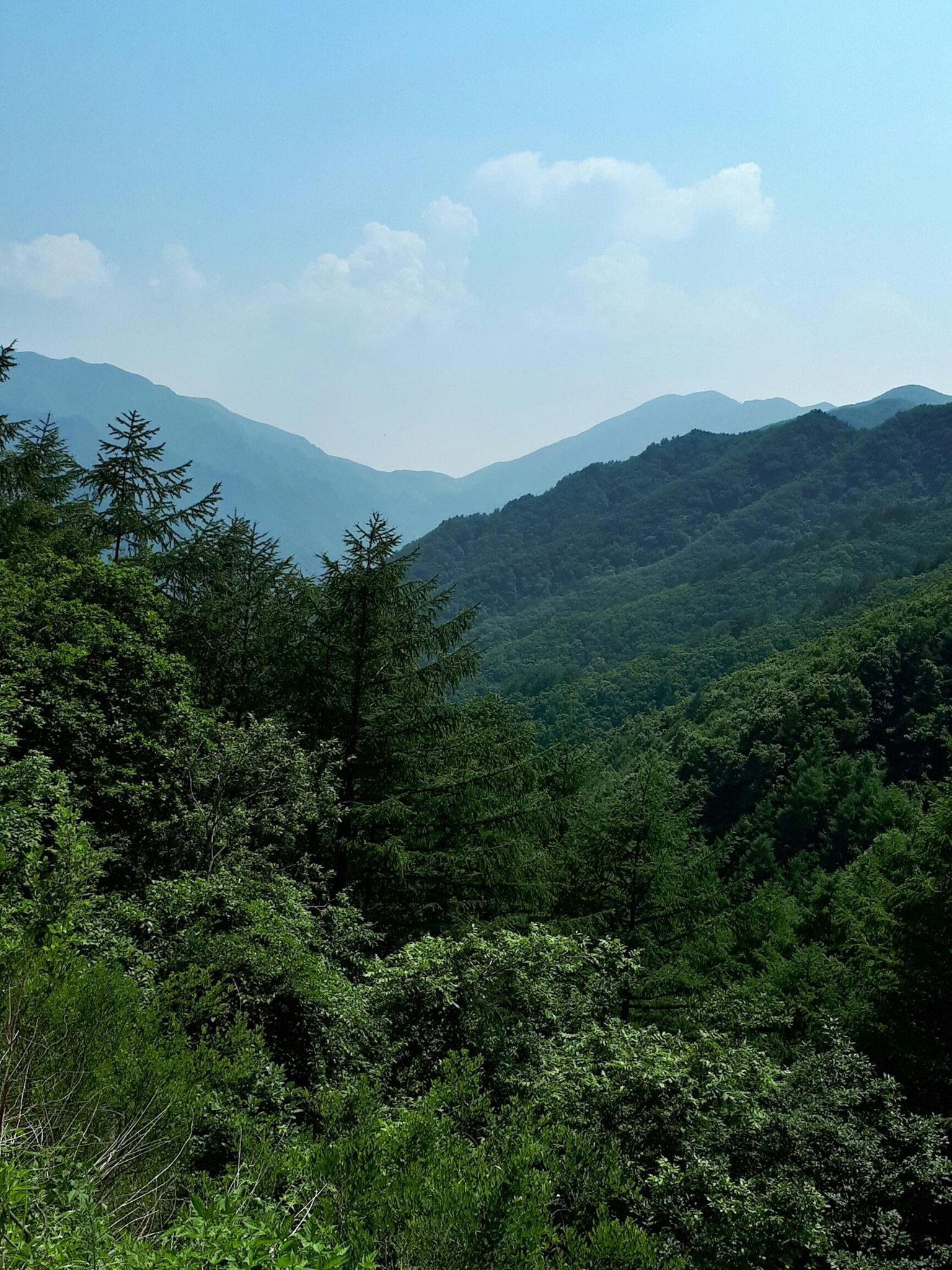 주문진 해안, 부연동 계곡, 전후치, 진고개 투어 자전거 라이딩 코스 사진 1