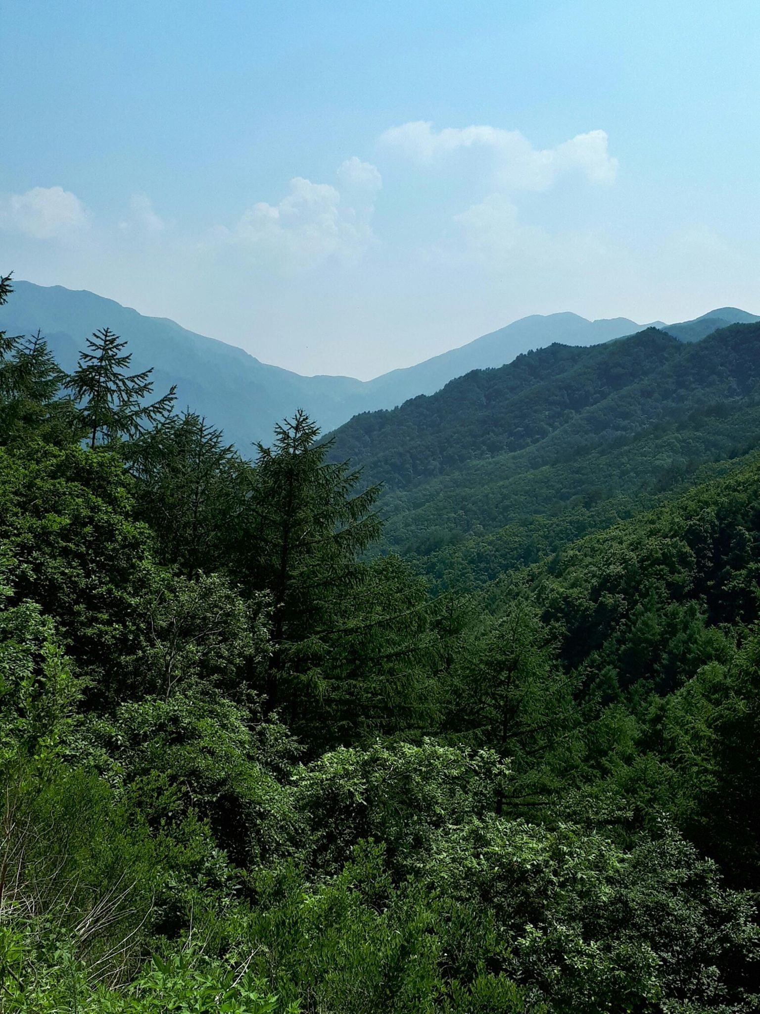 주문진 해안, 부연동 계곡, 전후치, 진고개 투어 사진 1