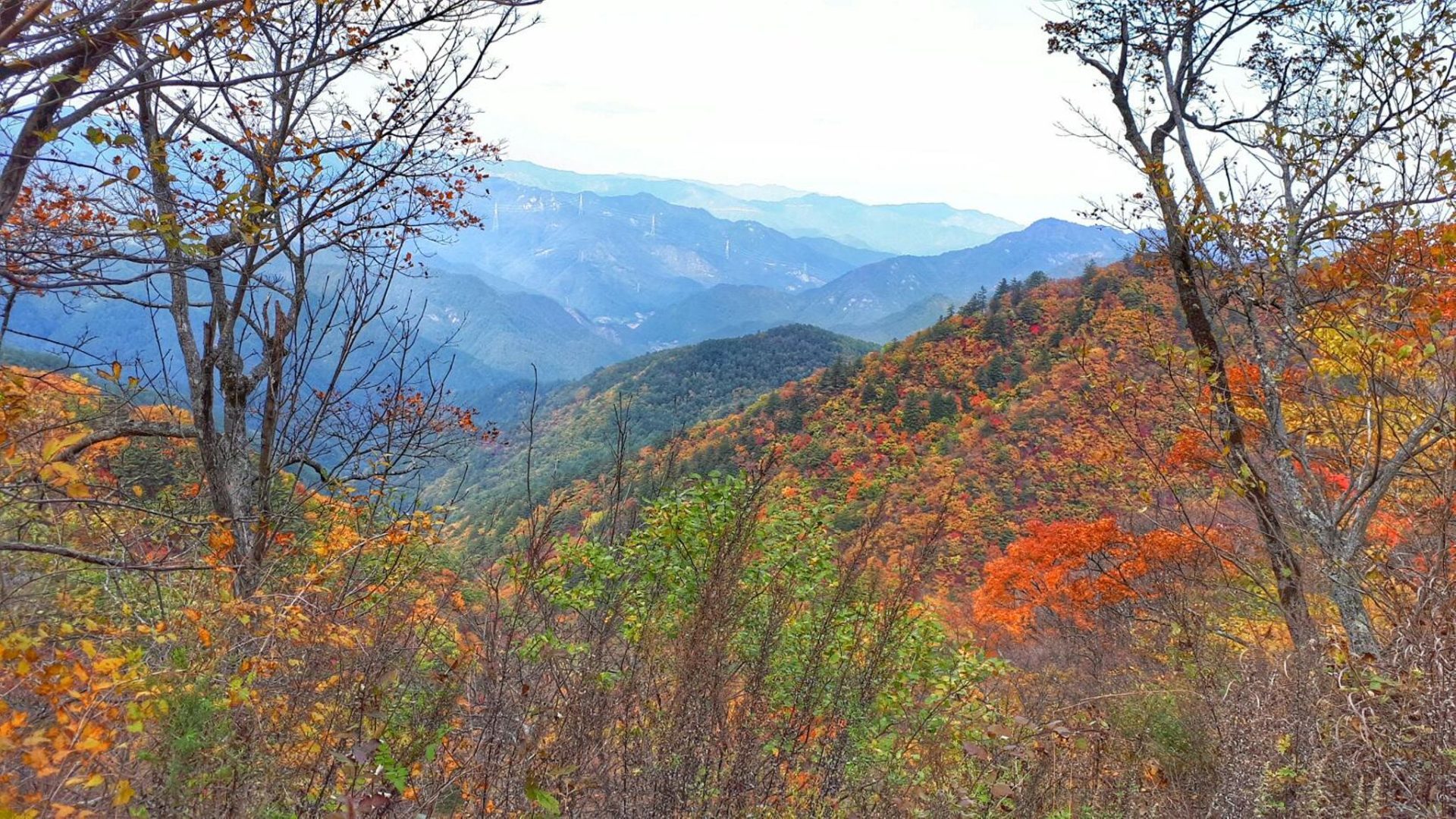 울진 불영계곡, 해안도로, 태백 석개재, 청옥산 자전거 라이딩 코스 사진 2