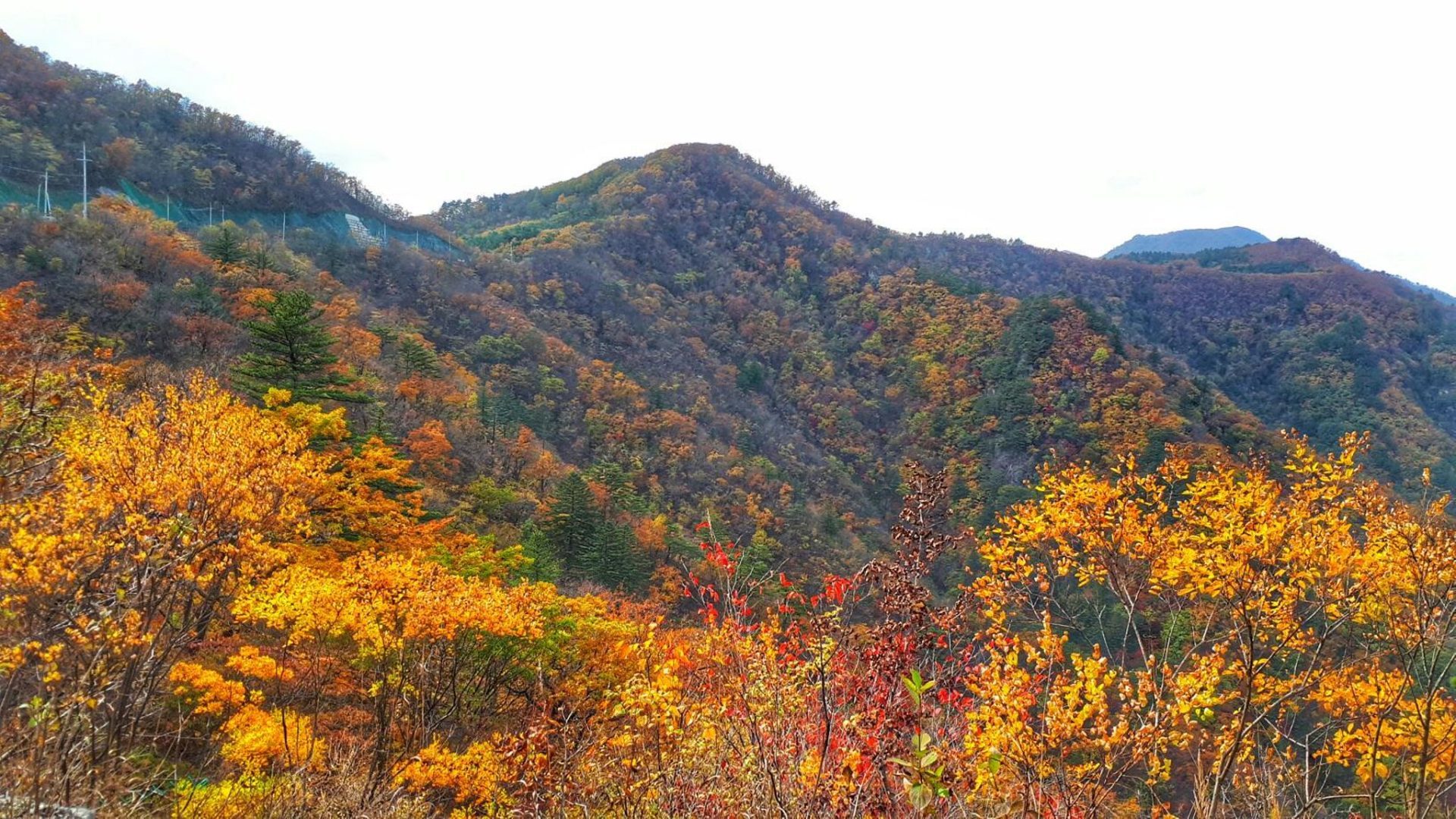 울진 불영계곡, 해안도로, 태백 석개재, 청옥산 자전거 라이딩 코스 사진 3