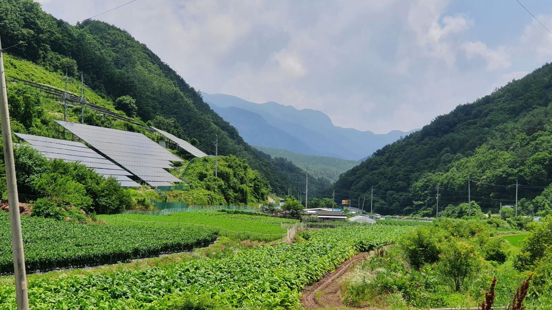 안동, 봉화 청량산, 영양 풍력단지 자전거 라이딩 GPX 코스파일 사진 4