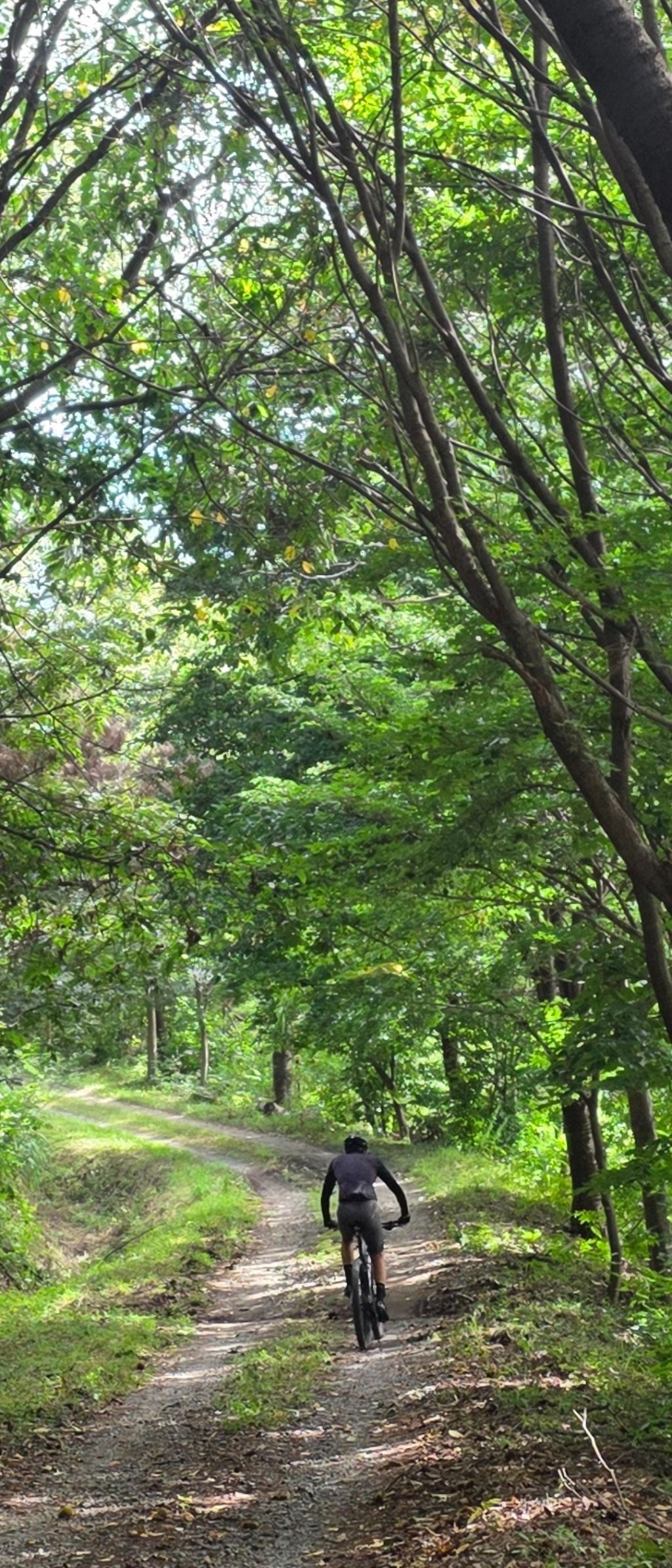페달가족_58Km845m_덕성산 임도 사진 1
