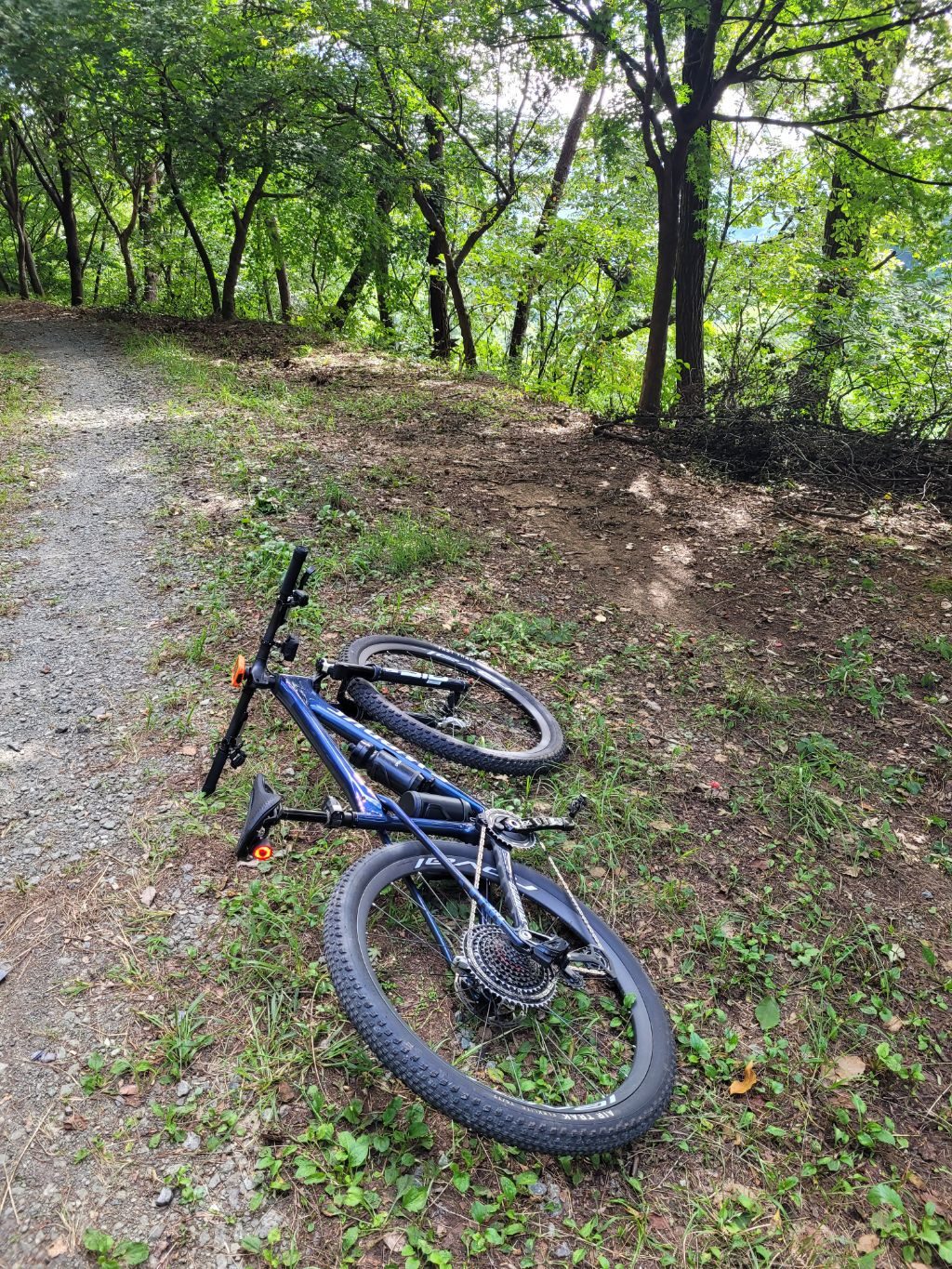 페달가족_58Km845m_덕성산 임도 사진 2
