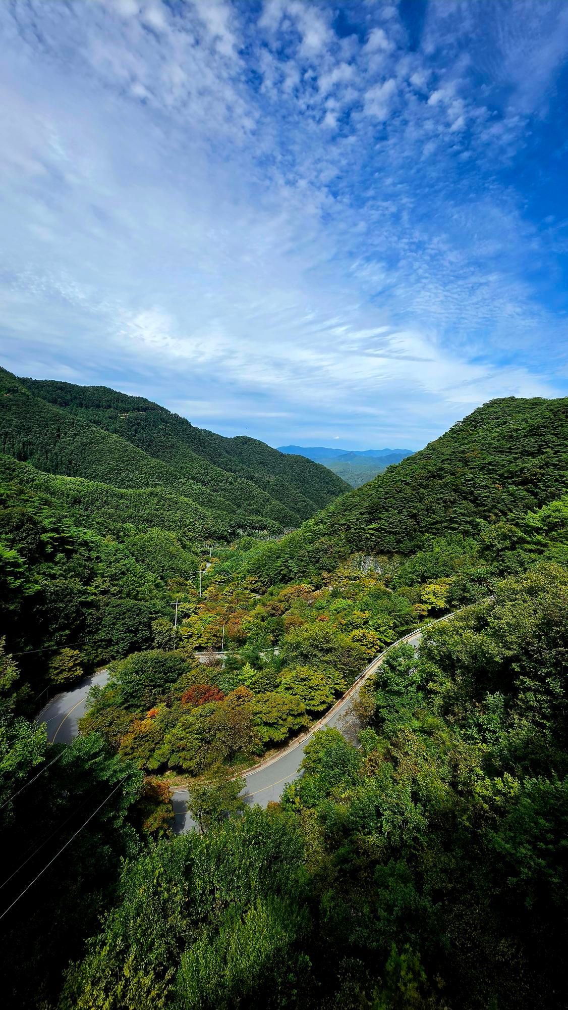 제천영월단양 배일치, 보발재 🍁, 갑산재 자전거 라이딩 GPX 코스파일