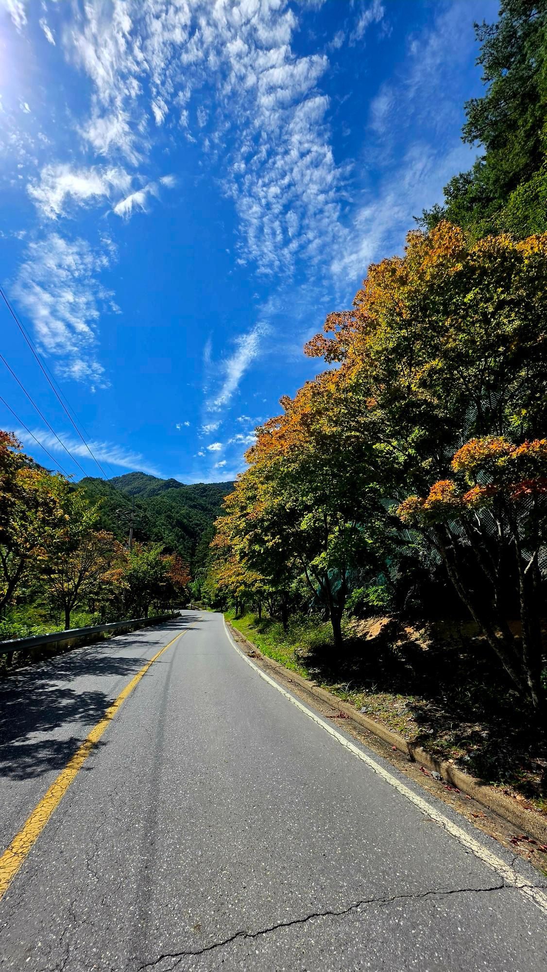 제천영월단양 배일치, 보발재 🍁, 갑산재 자전거 라이딩 GPX 코스파일 사진 2