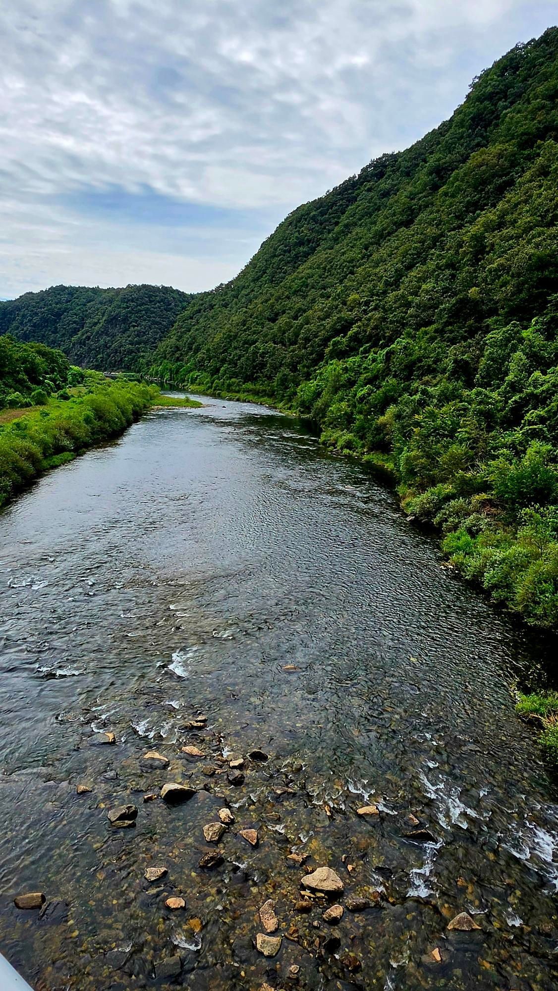 제천영월단양 배일치, 보발재 🍁, 갑산재 자전거 라이딩 GPX 코스파일 사진 10